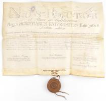 1893 Orvosi diploma függőpecséttel