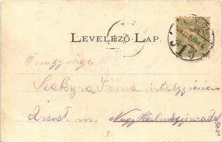 1904 Pétervárad, Peterwardein, Petrovaradin (Újvidék, Novi Sad); vár, megnyitott pontonhíd áthaladó ...