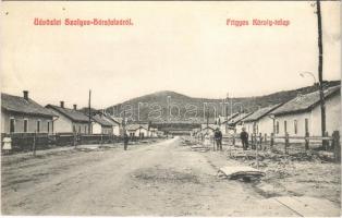 1909 Hársfalva (Szolyva, Svaliava), Nelipino, Nelipyno; Frigyes Károly telep. Berger Jenő kiadása / street view, colony
