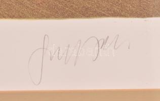 Szurcsik József (1959-): Érzéketlenítő. Litográfia, papír. Jelzett. Számozott: 4/5. Üvegezett fa ker...