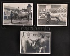 1941 Az 1941-es Mezőgazdasági kiállítás fotói, 1941. IV. 6., 19 db fotó 7 db kartonon, 8,5x11,5 cm