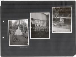 1941 Bp., a városligeti virágkiállítás képei, 9 db fotó 3 db kartonon, 8,5x11,5 cm