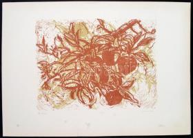 Somlai Vilma (1938-2007): Őszi alma. Színes linómetszet, papír, jelzett, számozott (61/100), lap szé...