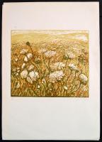 Somlai Vilma (1938-2007): Táj. Színes linómetszet, papír, jelzett, számozott (66/100), 30×34 cm