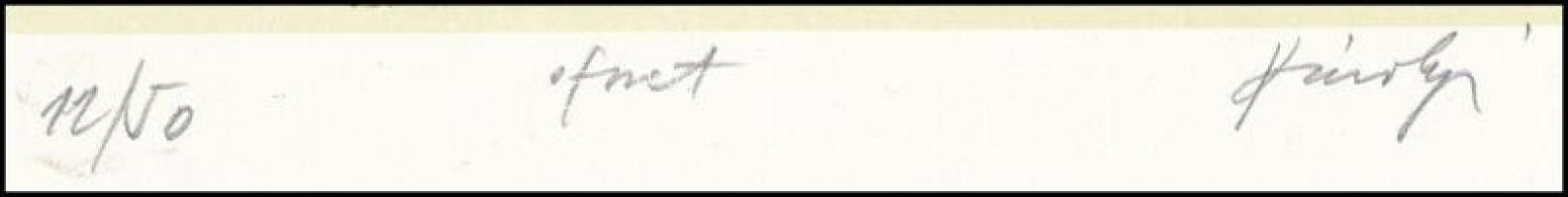 Károlyi András (1938-): Háború. Ofszet, papír, jelzett, számozott (12/50), 22x19 cm