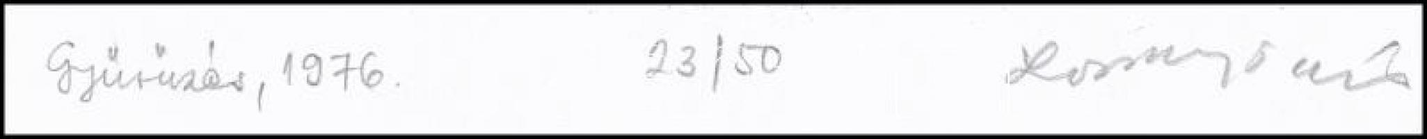 Lossonczy Tamás (1904-2009): Gyűrűzés, 1976. Szitanyomat, papír, jelzett, számozott (23/50), 28,5x20...