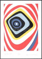 Lossonczy Tamás (1904-2009): Gyűrűzés, 1976. Szitanyomat, papír, jelzett, számozott (31/50), 28,5x20,5 cm.