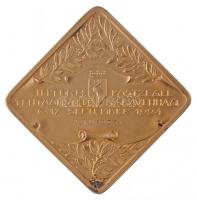 Hollandia 1924. "NEDERLANDSCHE VEREENIGING VAN POSTZEGEL VERZAMELAARS / INTERN. POSTZEGEL TENTA...