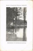 1913 Fenyőkosztolány, Jedlové Kostolany; Pisztrángos tó. Részlet a kistapolcsányi főhercegi uradalomból / lake (EB)