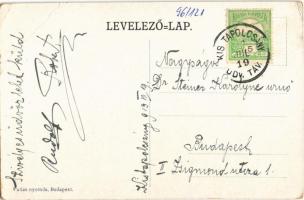 1913 Fenyőkosztolány, Jedlové Kostolany; Pisztrángos tó. Részlet a kistapolcsányi főhercegi uradalom...