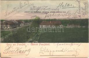 1909 Ferenchalom, Franzfeld, Kacarevo; Ansicht / látkép Pancsova felől. Adam Müller kiadása / general view (EK)