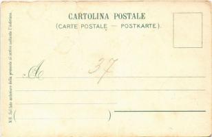 Bellinzona, general view, railway station, train. Gebr. Wehrli 6071. Auto-Chrom Louis Glaser (fa)