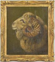 Bálint Árpád (1870-1912): Kos. Olaj, vászon. Jelzett. Restaurált. Díszes fa keretben. 50x70 cm