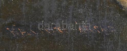 Bálint Árpád (1870-1912): Kos. Olaj, vászon. Jelzett. Restaurált. Díszes fa keretben. 50x70 cm