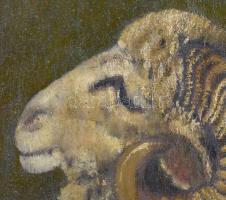 Bálint Árpád (1870-1912): Kos. Olaj, vászon. Jelzett. Restaurált. Díszes fa keretben. 50x70 cm