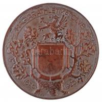 Berán Lajos (1882-1943) 1925. "Magyar Athletikai Club 1875-1925" ezüstözött Br emlékérem p...