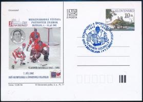 Szlovákia 2002