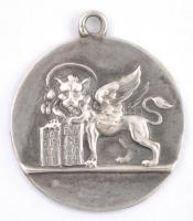 Ezüst(Ag) oroszlános medál, jelzett, d: 2 cm, nettó: 1,4 g