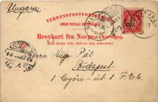 1906 Sulitjelma, Rensdyrhjord ved Thornehjelmsgruben / reindeer, winter (EB)