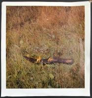 Szabados Árpád (1948-2017): Lángok. Ofszet, papír, jelzett, Próbanyomat I., Lap felső sarkaiban kissé sérült, lap alsó része kissé gyűrött, 35×35 cm