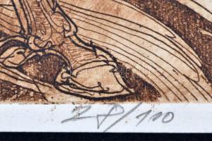 Olvashatatlan jelzéssel. Lipicai. Rézkarc, papír. Számozott (28/100). Paszpartuban. 17x22 cm