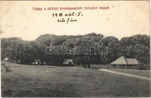 1911 Deliblát, Deliblato; tájkép a homokpusztáról (Leánykúti részlet) / Devoljacki bunar + PANCSOVA-VERSECZ 248. SZ.B.