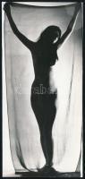 cca 1976 Sziluett, jelzés nélküli, erotikus vintage fotóművészeti alkotás, 18,2x8,5 cm