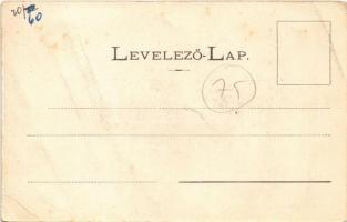 Bártfa-fürdő, Bardejovské Kúpele, Bártfa, Bardiov; Mignon villa. D / villa (fa)