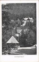 1907 Stószfürdő, Stoósz-fürdő, Kúpele Stós; nyaralók / villas