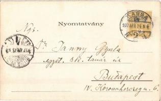 1907 Stószfürdő, Stoósz-fürdő, Kúpele Stós; nyaralók / villas