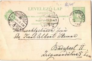 1901 Pócsmegyer-Leányfalu, Gusta Villa, szőlőskert. Saját kézzel rajzolt szecessziós fotó, Art Nouve...