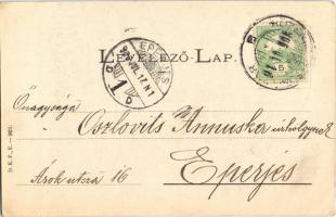 1906 Hévíz, birkaúsztatás. Balaton vidéke. D.K.F.E. 901. (EK)