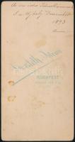 1893 Budapest, Goszleth István (1850-1913) budapesti fényképész műtermében készült, keményhátú, vint...
