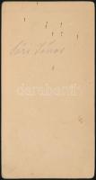 cca 1895 Sopron, Brückner J. fényképész műtermében készült, keményhátú vintage, a felirat szerint Sá...