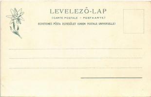 Tátra, Vysoké Tatry; Kriván csúcsa, hegymászó felszereléssel. Feitzinger Ede 617. 1904/14. / Der Kri...