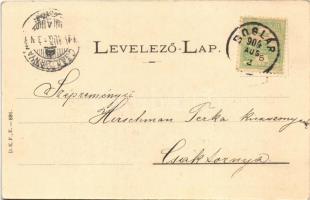 1904 Badacsony, A szőlőt védő munka, permetezés a szőlőhegyen. Balaton Vidéke. D.K.F.E. 891