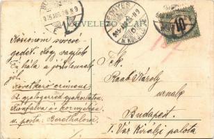 1905 Báznafürdő, Baile Bazna, Bad-Baassen; sétatér, meleg fürdő. Montázs pillangó hölggyel, Guggenbe...