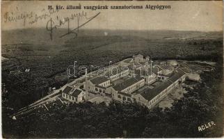 1916 Algyógy, Geoagiu; M. kir. állami vasgyárak szanatóriuma. Adler fényirda / sanatorium of the iron works (EK)