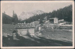 Ausztria 1924