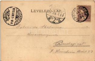 1900 Sepsiszentgyörgy, Sfantu Gheorghe; Római katolikus templom és Potsa park. Benkő M. kiadása / Ca...