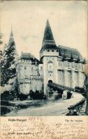 1904 Vajdahunyad, Hunedoara; vár és bejáró. Spörl Gusztáv kiadása / Cetatea (Castelul) Huniadestilor / castle (EK)