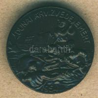 1954. "Dunai árvízvédelemért" Br kitűző T:2