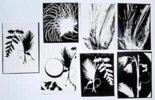 cca 1975 Fotografikák, 7 db szabadon felhasználható, vintage síkfilm NEGATÍV, 8x10 cm és 11x8,5 cm