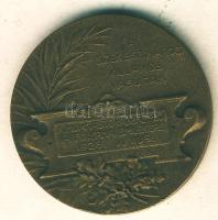 1928. "Székesfővárosi Villamos Vasutak" Br emlékérem T:2