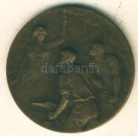 1928. "Székesfővárosi Villamos Vasutak" Br emlékérem T:2