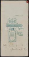 1907 Budapest, Pottok Sándor fényképész műtermében készült, keményhátú vintage fotó, datálva és sors...