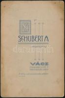 cca 1910 Vác, Schubert A. fényképész műtermében készült, keményhátú vintage fotó, 16,1x10,6 cm