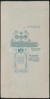 cca 1903 Budapest, Pottok Sándor fényképész műtermében készült, keményhátú vintage fotó, 16,3x8,2 cm