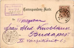 1896 (Vorläufer!) Nassfeld bei Bad Gastein, Gruss vom Erzherzogin Marie Valerie Schutzhaus / rest ho...