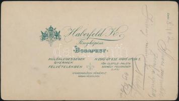 1909 Budapest, Haberfeld K. fényképész műtermében készült, keményhátú, feliratozott vintage fotó, 15...